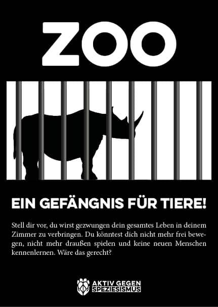 Zoo Flyer Kinder