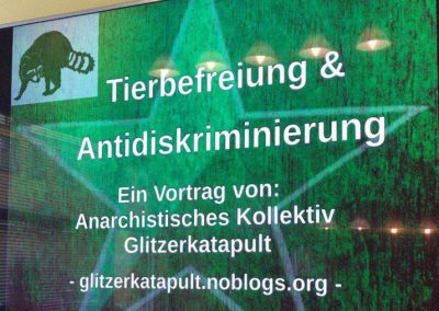 Vortrag von Glitzerkatapult