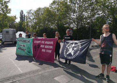 Protest gegen Zirkus Krone Aschaffenburg