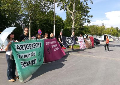 Protest gegen Zirkus Krone Aschaffenburg