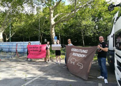 Protest gegen Zirkus Krone Frankfurt