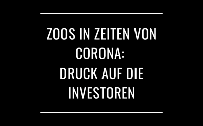 Zoos in Zeiten von Corona: Druck auf die Investoren