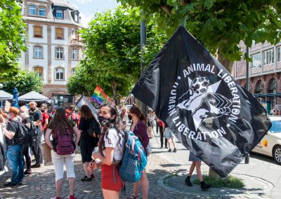 Schließung aller Schlachthäuser Frankfurt