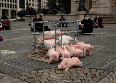 Kastenstand Mahnwache