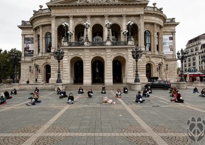 Kastenstand Mahnwache