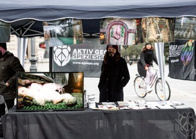 Kastenstand Mahnwache